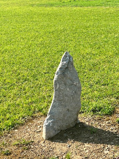 ENERGIE2VIE Emmanuel Lahargou, Géobiologie, Radiesthésie, Magnétisme, Praticien de Médecine Alternative à Domezain-Berraute