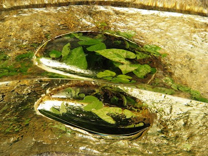 Sophrologie Dieppe - Mathieu Barbera Sophrologue, Praticien de Médecine Alternative à Rouxmesnil Bouteilles