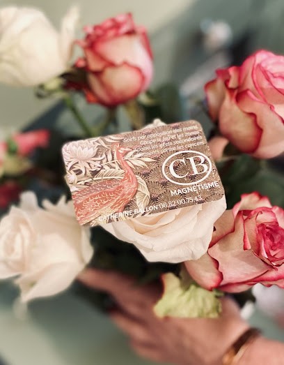 MAGNÉTISEUR - Catherine Ballon, Praticien de Médecine Alternative à Tinchebray-Bocage