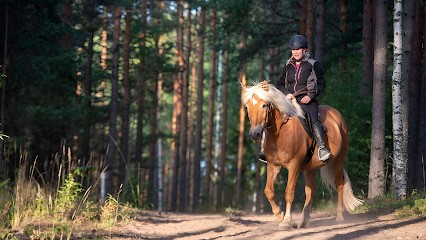 EQUI ALLIANCE, Praticien de Médecine Alternative à Landavran