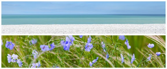 SOPHROLOGUE - Normandie - Catherine Saint-Genès Godard, Praticien de Médecine Alternative à Saint-Valery-en-Caux