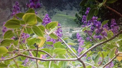 ESPACE FLORYSENS, Praticien de Médecine Alternative à Aubagne