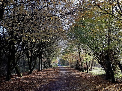 Véronique Deligny Sophrologie, Praticien de Médecine Alternative à Villeneuve-d'Ascq