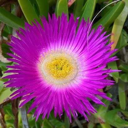 Frédéric Scellier - Praticien Shiatsu, Praticien de Médecine Alternative à Eygaliers