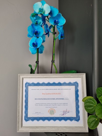 Bio-Réflexologie-Relationnelle, sandrine GONCALVES, Réflexologue à Étaples