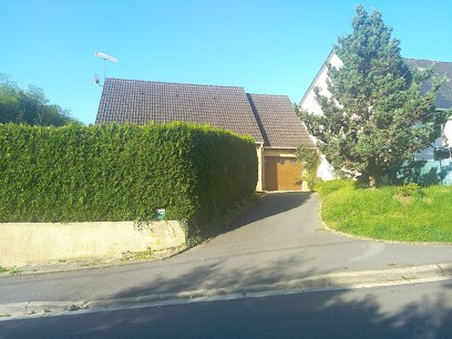 Julien Herbulot Naturopathe, Praticien de Médecine Alternative à Vrigne aux Bois