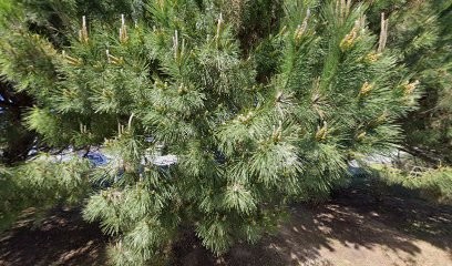 Sophro Attitude, Hypnothérapeute à Saint-Georges-d'Oléron