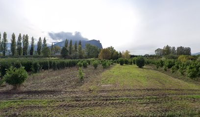 Fabienne Sibué - Un Pas Vers Soi - Réflexologie Plantaire - Soins Energétiques, Réflexologue à Voreppe