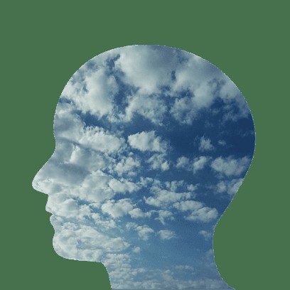 Brissaud Bertrand, Praticien de Médecine Alternative à Chartres