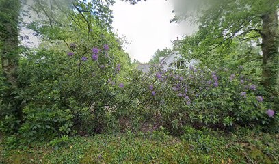SoAme Sandrine Feneyrou Naturopathie & Art-thérapie Quimper, Praticien de Médecine Alternative à Quimper