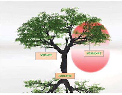 Énergéticienne Hypnothérapeute Christelle Coyat, Hypnothérapeute à Peillonnex