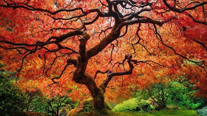 Grégory Drouiller - Hypnothérapeute / Magnétiseur, Hypnothérapeute à Rugles