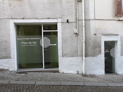 Cabinet D'Hypnose Thérapeutique Fleur De Vie, Hypnothérapeute à Royat