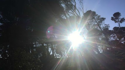 Rachel Effet Papillon, Praticien de Médecine Alternative à Saint-Rémy-de-Provence