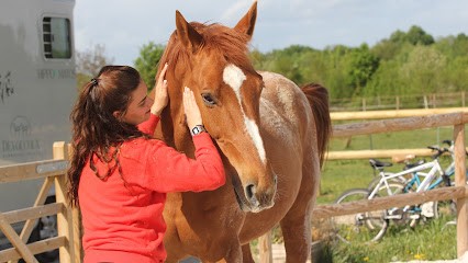 Équitherapie 77 - Sant’Équi, Hypnothérapeute à Lésigny