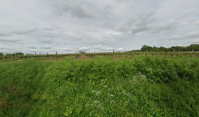 Hypnotherapeute/psychopraticienne - Hypnose profonde - IMO - Hypnose enfants - Hypnose et sexualité, Hypnothérapeute à Saint-Hilaire-de-la-Noaille