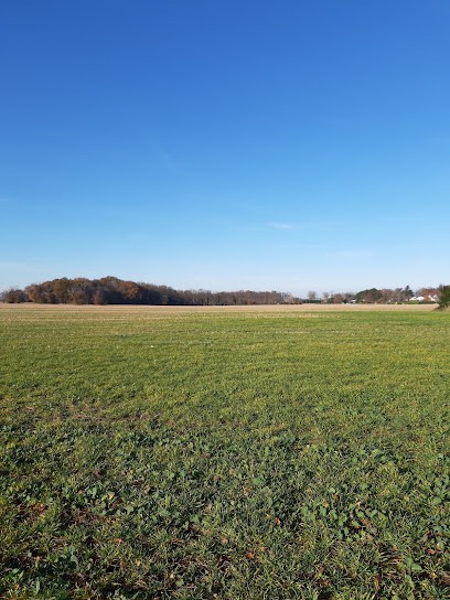 Anne-Charlotte DADIER Naturopathe Généraliste Et Spécialisée Chez Les Enfants (0-10 Ans), Praticien de Médecine Alternative à Montlouis-sur-Loire