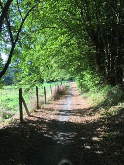 Ariane Oclin - Sophrologue à Gambais, Praticien de Médecine Alternative à Gambais