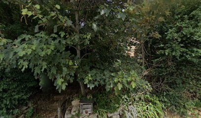 Dufour-Jaillet Claire, Praticien de Médecine Alternative à Lanuéjols