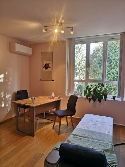 Valérie Piccardi Energéticienne, Praticien de Médecine Alternative à Villefranche-sur-Saône