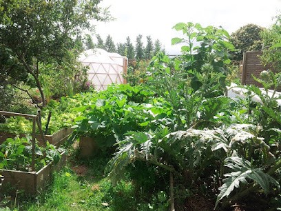 Véronique BIHI Plantes Et énergies - Magnétisme Et REIKI, Praticien de Médecine Alternative à Plédéliac