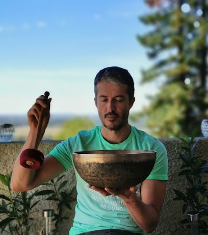 L'Arbre-Monde, Praticien de Médecine Alternative à Pouydraguin