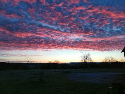 Marion GALA, Praticien de Médecine Alternative à Cuq-Toulza