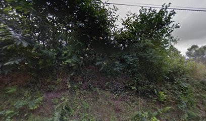 Le P'tit Cocon Zen - Marine Reguer - Accompagnement En Conscience émotionnelle, Praticien de Médecine Alternative à Taulé