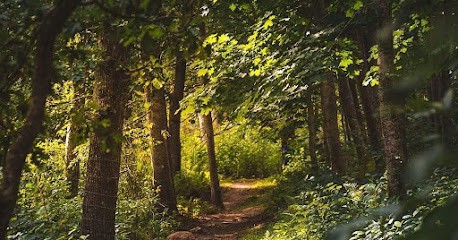 A La Croisée Des Chemins, Soins Énergétiques, Praticien de Médecine Alternative à Liposthey