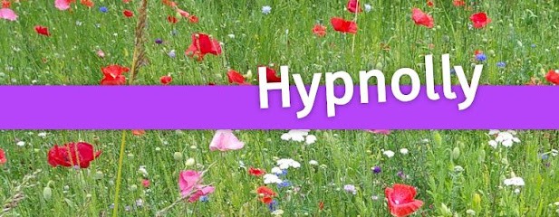 Hypnolly (Hypnose, TNC, Alpé Libération Des émotions, Thérapie Brève), Hypnothérapeute à Labbeville