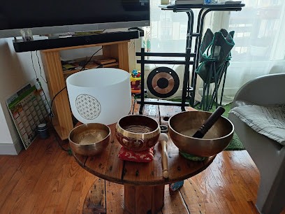 VIBES ENERGETIC, Praticien de Médecine Alternative à Portes-lès-Valence