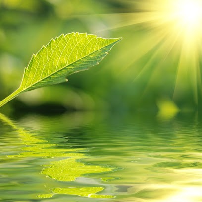 Yannick Ferrer Naturopathie, Praticien de Médecine Alternative à Fuveau