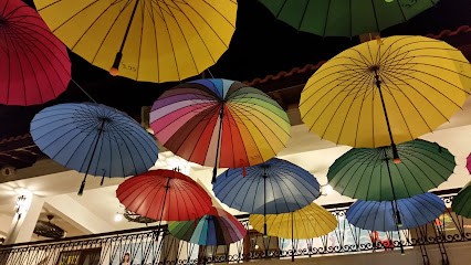 Nathalie Bou - Praticienne En Kinésiologie, Hypnose Et EMDR, Conseillère En Fleurs De Bach Et Coach De Vie, Hypnothérapeute à Brest