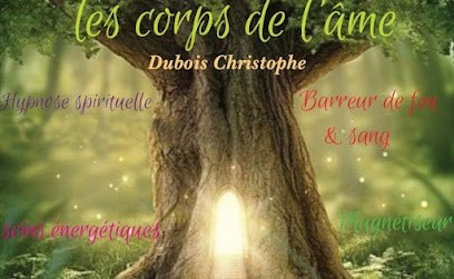 Hypnose Régressive - Christophe Dubois, Praticien de Médecine Alternative à Saint-Benoît