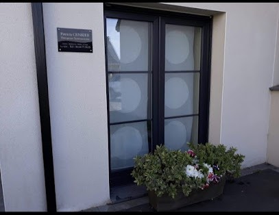 Patricia Cenkier, Hypnothérapeute à Audruicq