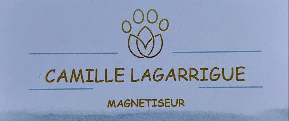 Camille Lagarrigue Magnétiseur, Praticien de Médecine Alternative à Castanet-Tolosan