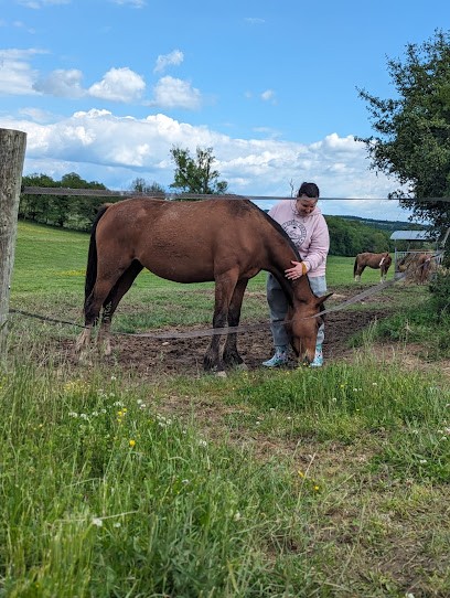 Johanna Decou Naturopath Communicator Magnétiseur Animalier, Praticien de Médecine Alternative à Moffans-et-Vacheresse