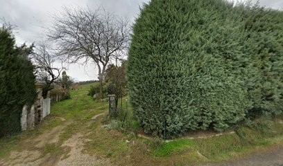 Chantal Nowak, sophrologue, Praticien de Médecine Alternative à Saint-Jean-de-Muzols