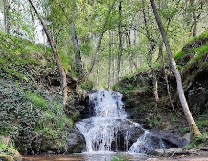 David FAYET Magnétiseur, Praticien de Médecine Alternative à Mozac