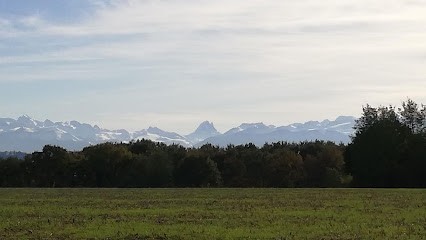 Demeaux Christine, Praticien de Médecine Alternative à Poey-de-Lescar