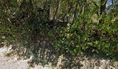 Hypnothérapie Rozenn Passet, Hypnothérapeute à Draguignan