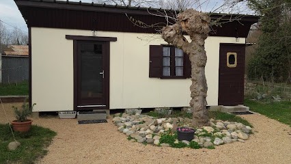 Laurent DIDIER, Praticien En Médecine Traditionnelle Chinoise, Massage, Bols Tibétains, Praticien de Médecine Alternative à Mane