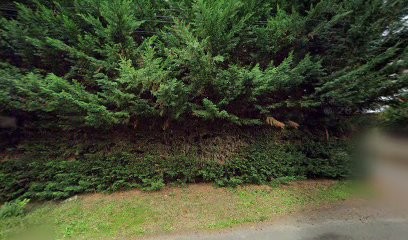 Gary Renou, Hypnothérapeute à Guécélard