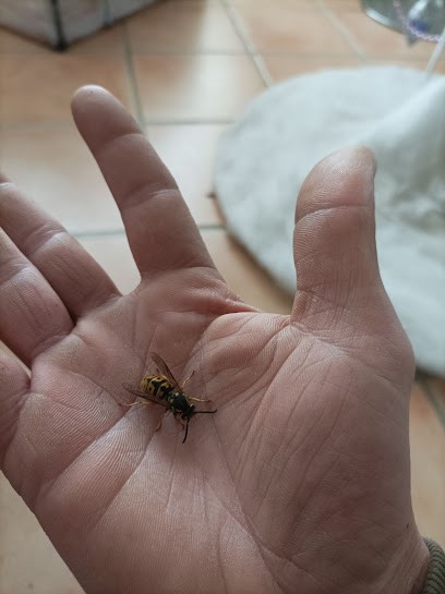 La Paix Z'anse, Praticien de Médecine Alternative à Decize