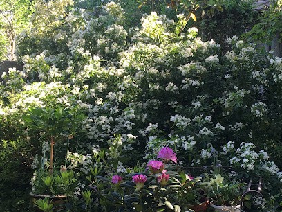 Charlotte De Bouteiller, Hypnothérapeute à Choisy-le-Roi
