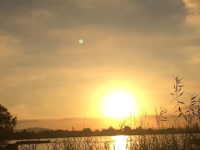 Sophrologue/Sophro-Analyste/Hypnothérapeute, Praticien de Médecine Alternative à Saint-Sulpice-les-Feuilles