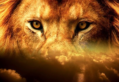 Guerisseur / Magnétiseur / Coupeur De Feu / Energéticien / Lionel Roubine- Le Perreux Sur Marne 94170, Praticien de Médecine Alternative au Perreux-sur-Marne