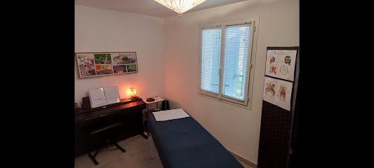 Carine Fauvelle, Magnétisme, Méthode Poyet Et Manupuncture Coréenne, Techniques Énergétiques, Praticien De Médecine Alternative à Salon-de-Provence