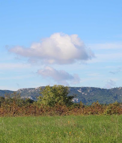 Sandrine Testuz - Astoncom Wellness Au Travail, Hypnothérapeute à Saint-André-de-Roquelongue