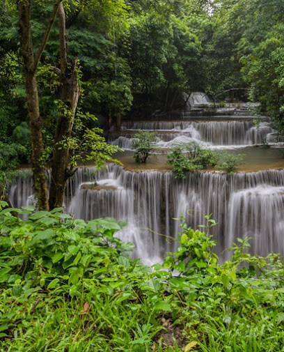 Édouard VIVIEN - Microkiné - Energétique - Besançon, Praticien de Médecine Alternative à Besançon